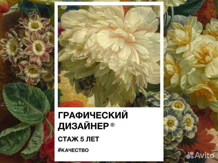 Графический дизайнер фотошоп, иллюстратор