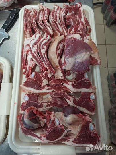 Мясо баранина-ягнята