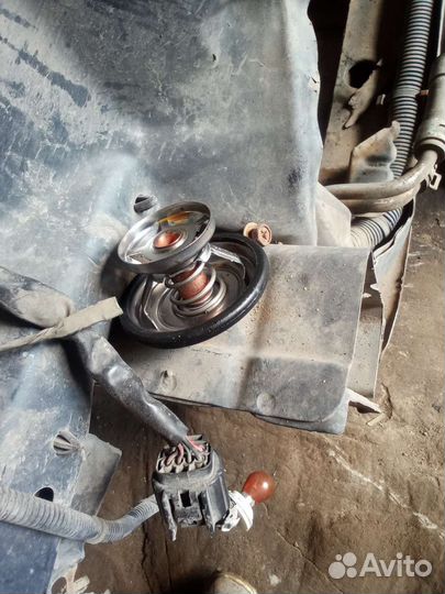 Ssangyong kyron термостат