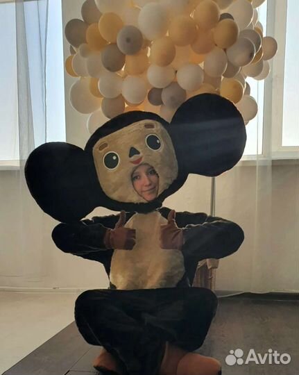 Профессиональный аниматор