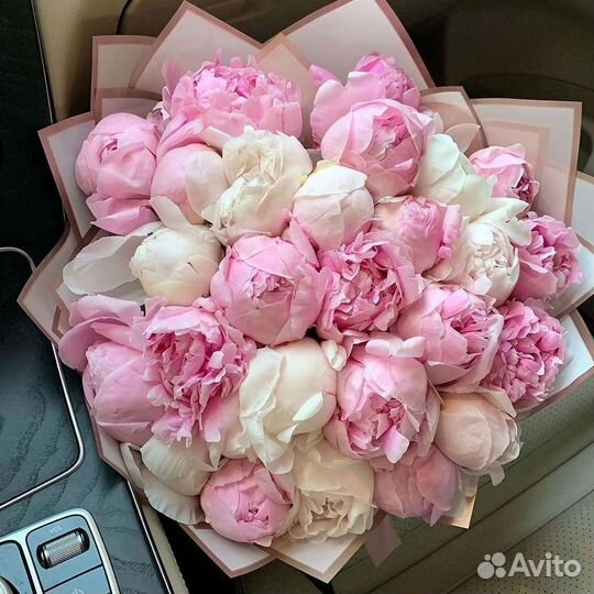 Пионы Букет пионов