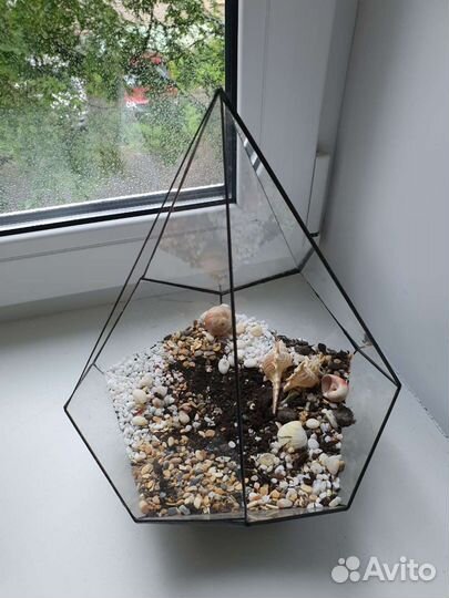 Флорариум с грунтом и ракушками