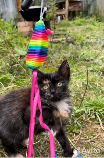 Малышка Черничка в добрые любящие руки)