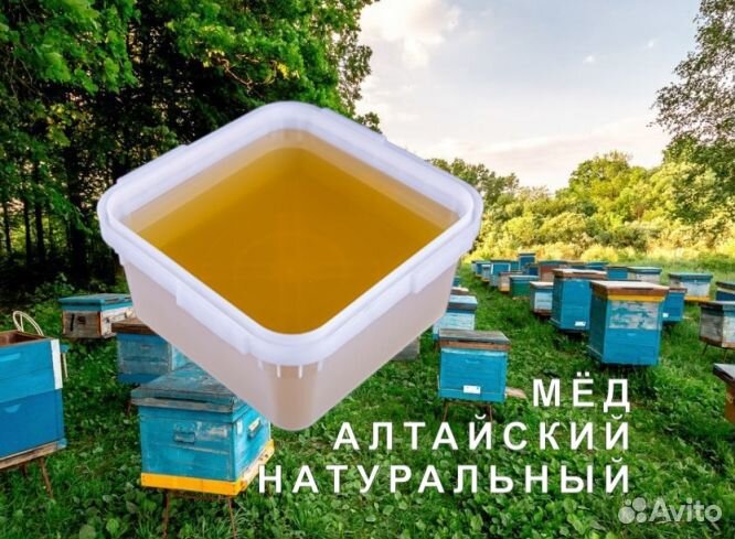 Мед натуральный алтайский опт