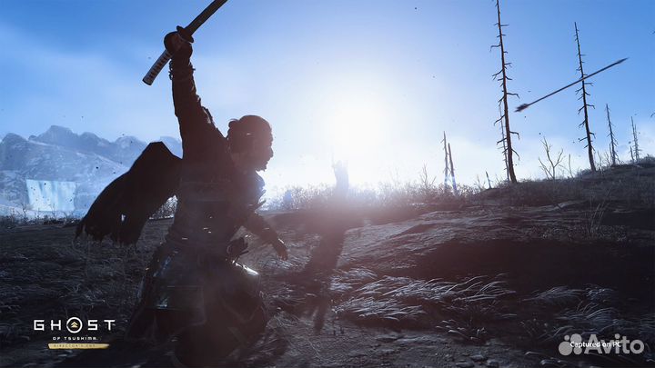 Ghost of Tsushima / Призрак Цусимы (Steam)