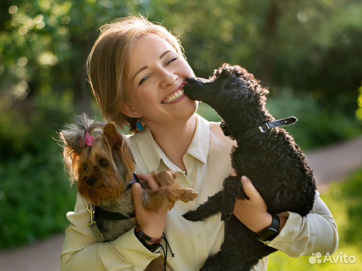 Кинолог. Дрессировка и воспитание собак и щенков