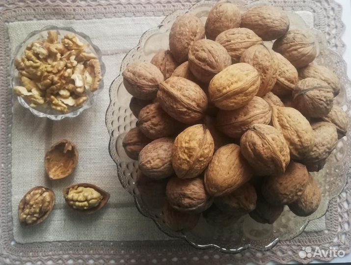 Почвопокровная вероника. Грецкий орех