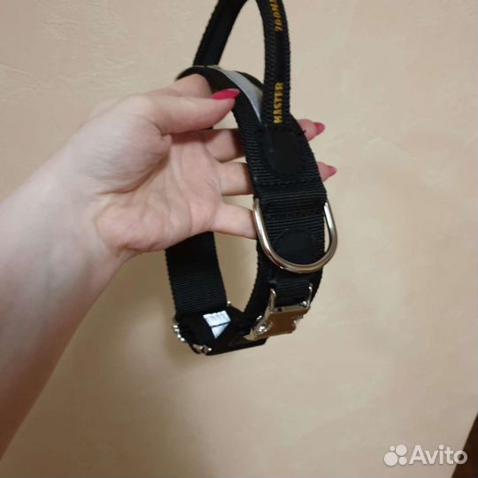 Профессиональная амуниция для собак