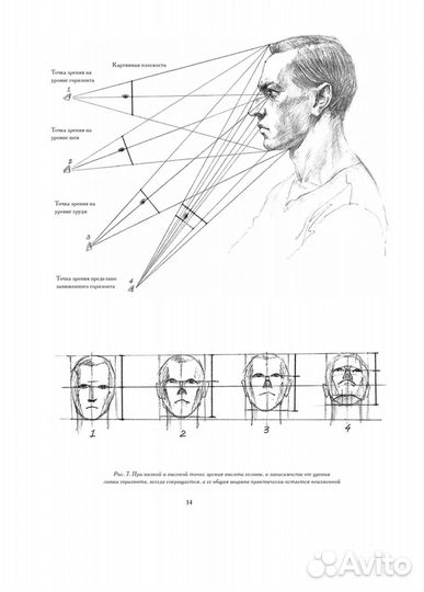 Голова человека: Основы академического рисунка