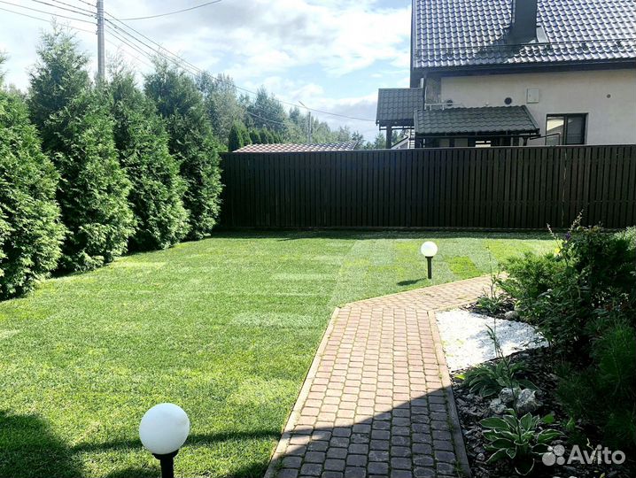 Газон в рулоне