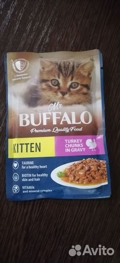 Влажный корм для котят