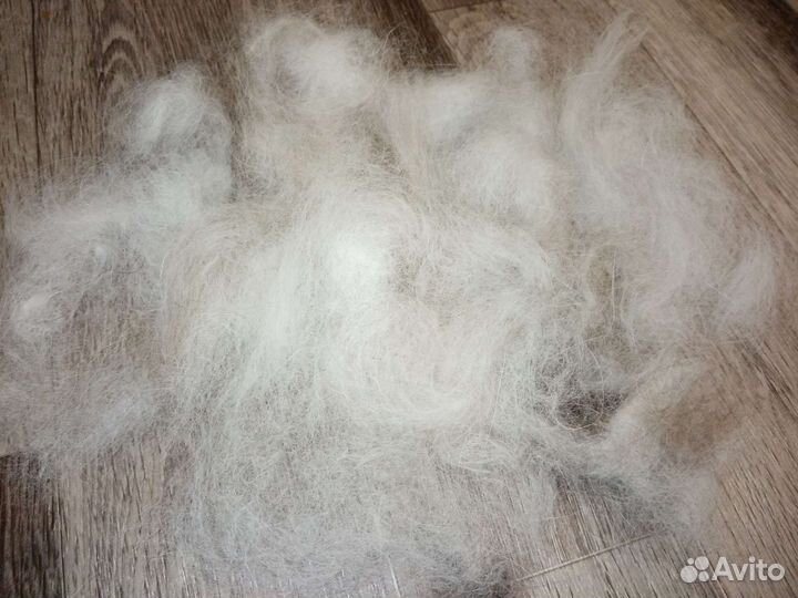 Собачья шерсть