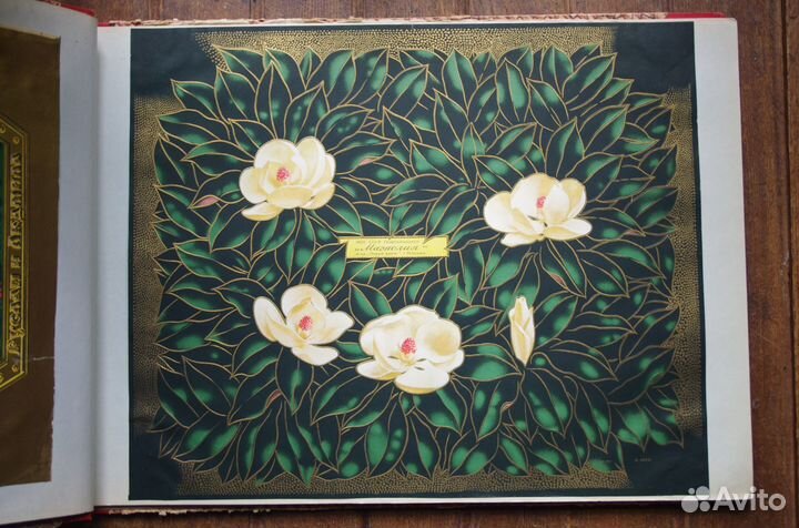 Альбом с этикетками 1953 год