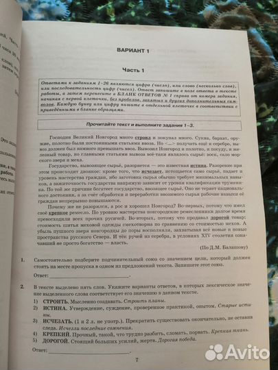 ОГЭ русский язык 2024. Васильевых