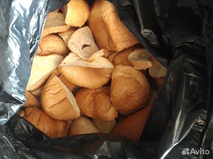 Корм для животных