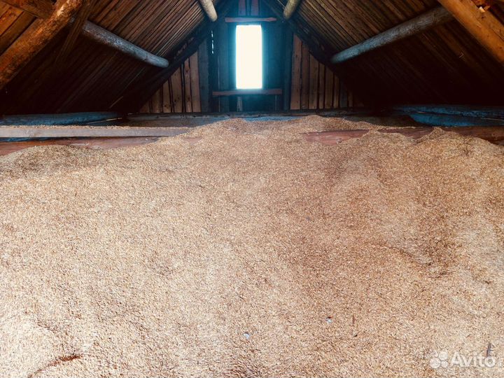 Зерно сухое