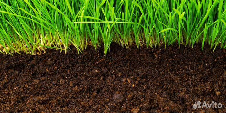 Плодородный грунт