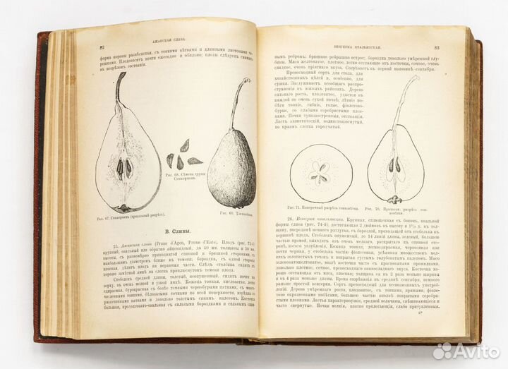 Старые антикварные книги