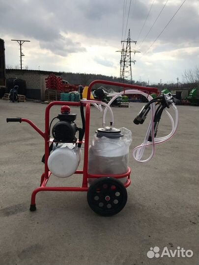 Доильный аппарат 1 пульсатор 1 бидон Telsar