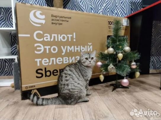 Умный телевизор с интернетом 50(127 см) новый