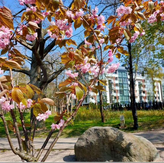 1-к. квартира, 58 м², 5/6 эт.