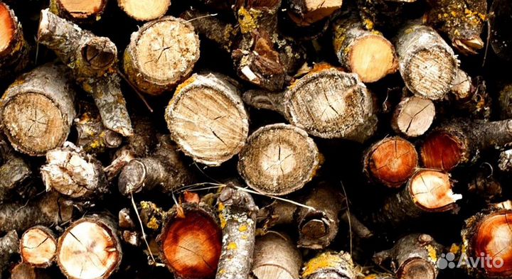 Дрова честные
