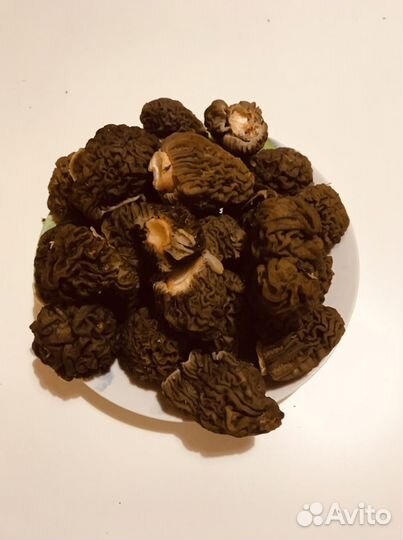 Грибы сморчки и строчки