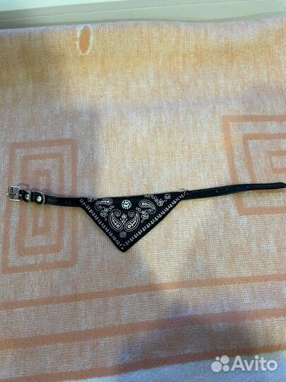 Ошейник для щенка