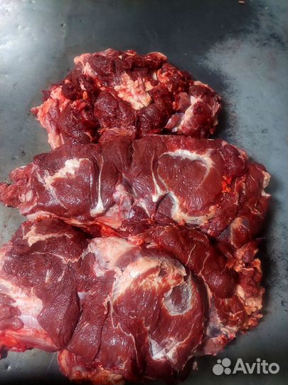 Мясо говядина 550р,450р. Мясо с головы крс, Халяль