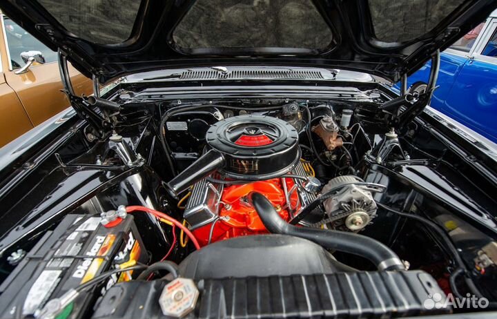 Автоэлектрик с выездом с 11 до 91699