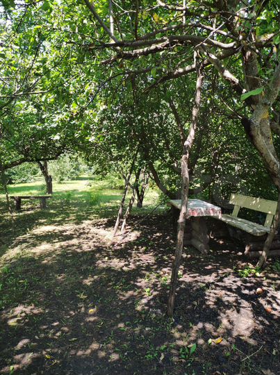 Дом 65 м² на участке 22 сот.