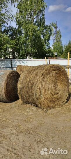 Сено в тюках
