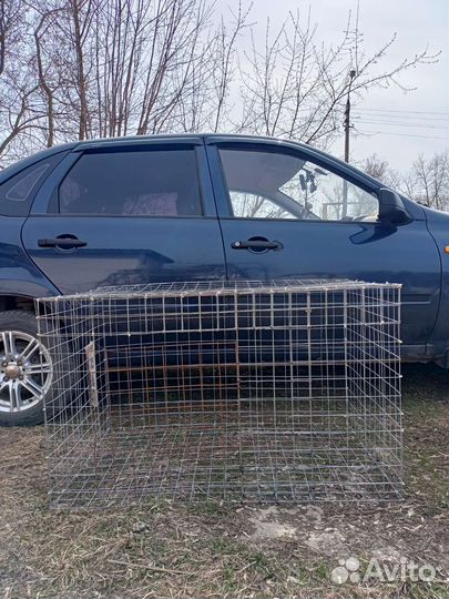 Клетки для кур или цыплят,большая для собаки