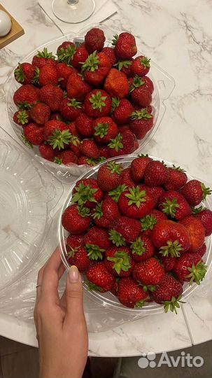 Земляника садовая, клубника-Гибрид Лорда,Пикадилли