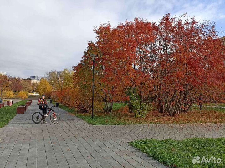 Stinger magnet pro 24