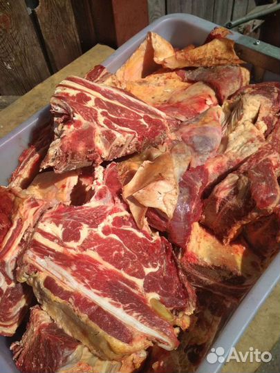 Корм для собак говяжий (рубец, обрезь, мясо) и др