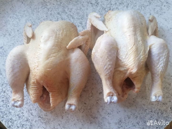 Мясо птицы