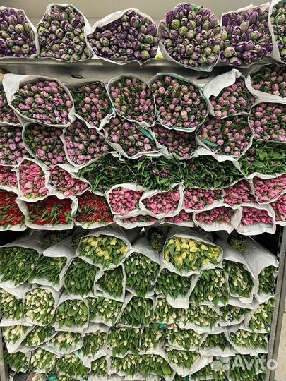 Букет из тюльпанов с бесплатной доставкой