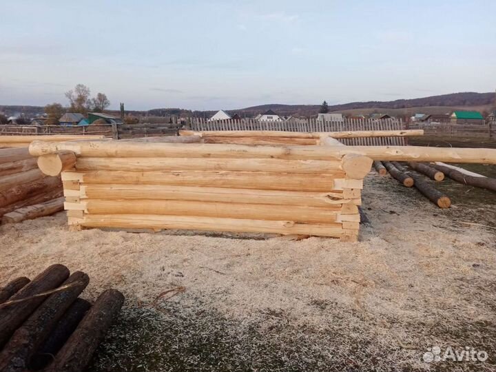 Срубы из липы