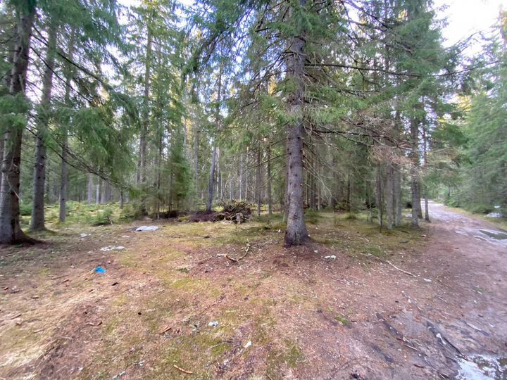 Участок 77,4 сот. (ИЖС)