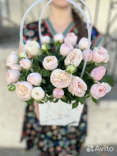 Пионовидные розы