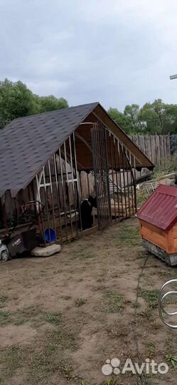 Вольер для собак