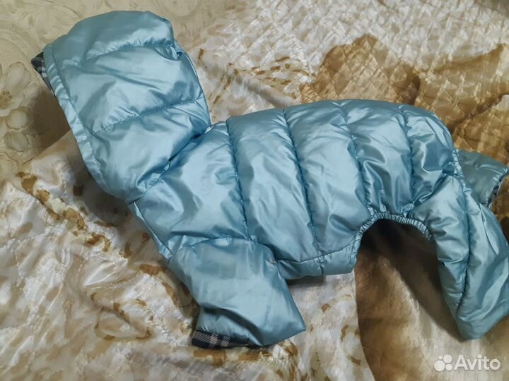 Комбинезон для собаки