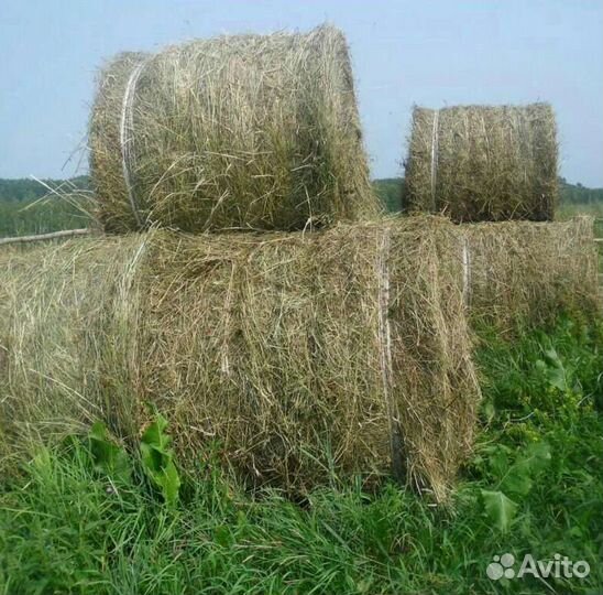 Сено в рулонах