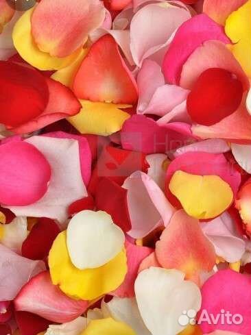 Лепестки роз