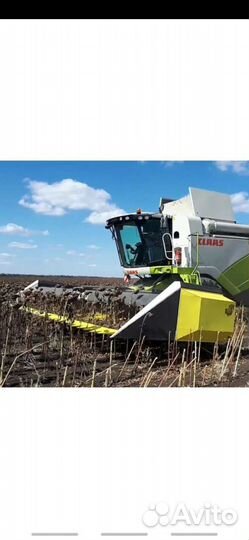 Уборка урожая комбайнами claas убираем