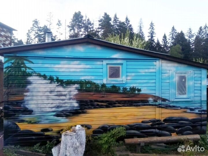 Художественная роспись,граффити,аэрография