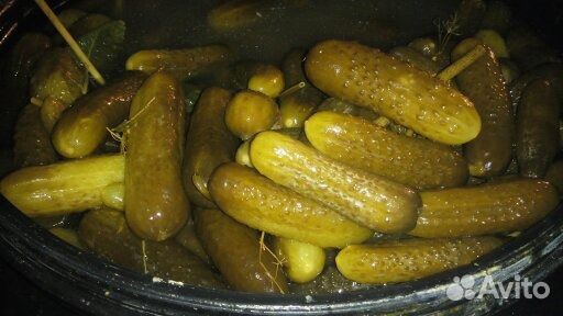 Огурцы соленые