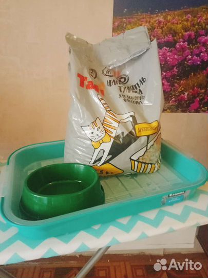 Туалет лоток для кошек