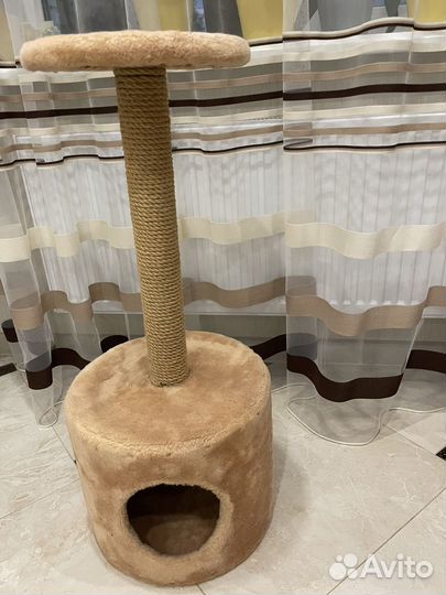 Когтеточка и домик для кота